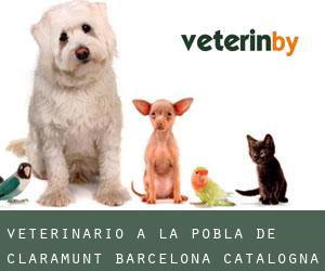 veterinario a La Pobla de Claramunt (Barcelona, Catalogna)