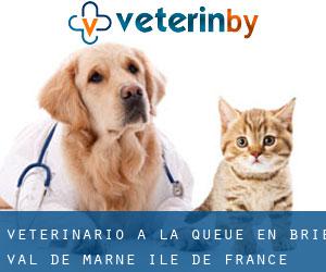 veterinario a La Queue-en-Brie (Val-de-Marne, Île-de-France)