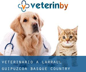 veterinario a Larraul (Guipuzcoa, Basque Country)