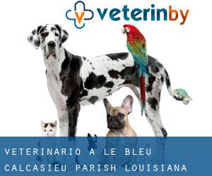 veterinario a Le Bleu (Calcasieu Parish, Louisiana)