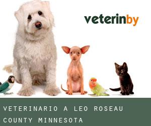 veterinario a Leo (Roseau County, Minnesota)