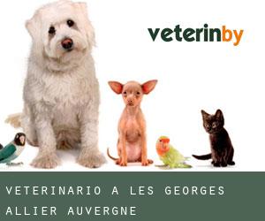 veterinario a Les Georges (Allier, Auvergne) veterinario a Les Georges (Allier, Auvergne)