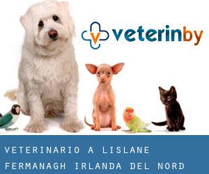 veterinario a Lislane (Fermanagh, Irlanda del Nord)