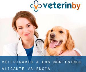 veterinario a Los Montesinos (Alicante, Valencia)