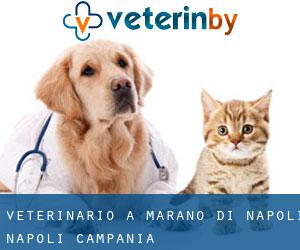 veterinario a Marano di Napoli (Napoli, Campania)