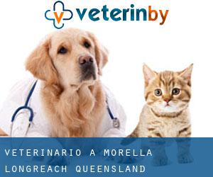 veterinario a Morella (Longreach, Queensland)