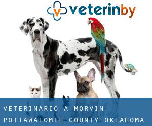 veterinario a Morvin (Pottawatomie County, Oklahoma)