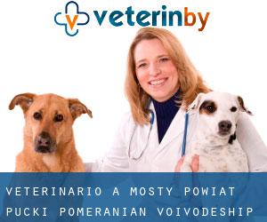 veterinario a Mosty (Powiat pucki, Pomeranian Voivodeship)