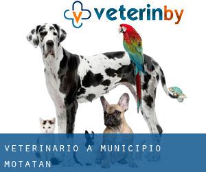 veterinario a Municipio Motatán