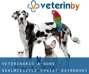 veterinario a Nowe Skalmierzyce (Powiat ostrowski (Greater Poland Voivodeship), Voivodato della Grande Polonia)