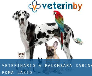 veterinario a Palombara Sabina (Roma, Lazio)