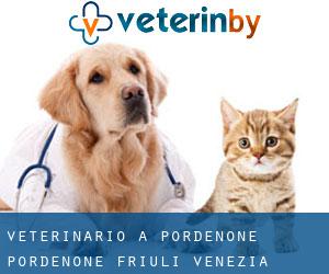 veterinario a Pordenone (Pordenone, Friuli Venezia Giulia)