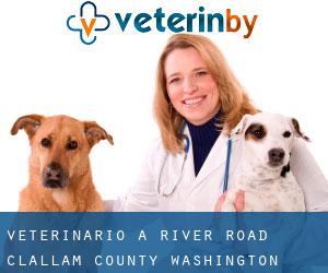 veterinario a River Road (Clallam County, Washington)