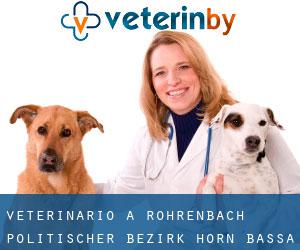 veterinario a Röhrenbach (Politischer Bezirk Horn, Bassa Austria)