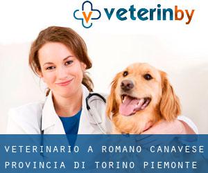 veterinario a Romano Canavese (Provincia di Torino, Piemonte)