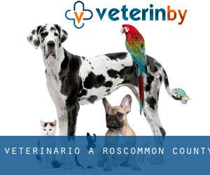veterinario a Roscommon County
