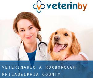 veterinario a Roxborough (Philadelphia County, Pennsylvania)