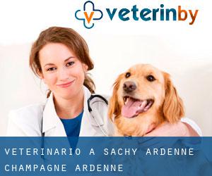 veterinario a Sachy (Ardenne, Champagne-Ardenne)