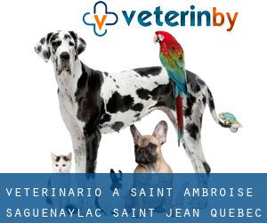 veterinario a Saint-Ambroise (Saguenay/Lac-Saint-Jean, Quebec)