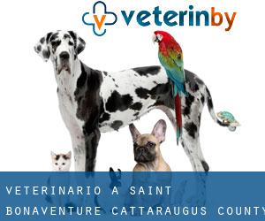 veterinario a Saint Bonaventure (Cattaraugus County, New York)