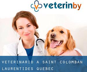veterinario a Saint-Colomban (Laurentides, Quebec)