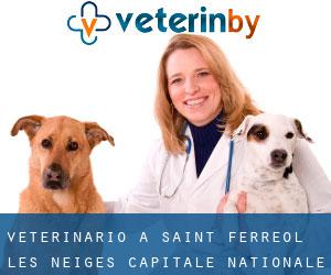 veterinario a Saint-Ferreol-les-Neiges (Capitale-Nationale, Quebec)