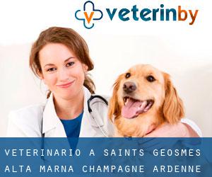 veterinario a Saints-Geosmes (Alta Marna, Champagne-Ardenne)