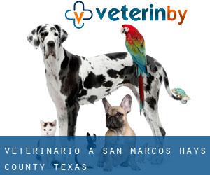 veterinario a San Marcos (Hays County, Texas)