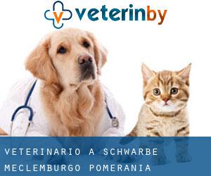 veterinario a Schwarbe (Meclemburgo-Pomerania Anteriore)