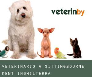 veterinario a Sittingbourne (Kent, Inghilterra)