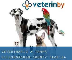 veterinario a Tampa (Hillsborough County, Florida) veterinario a Tampa (Hillsborough County, Florida)