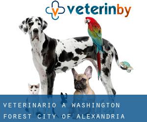 veterinario a Washington Forest (City of Alexandria, Virginia)