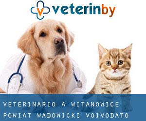 veterinario a Witanowice (Powiat wadowicki, Voivodato della Piccola Polonia)
