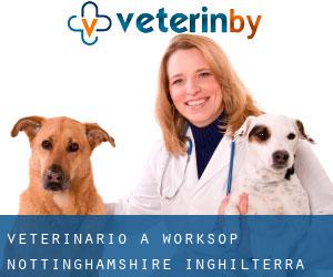 veterinario a Worksop (Nottinghamshire, Inghilterra)