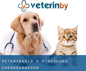 veterinario a Yingshang Chengguanzhen