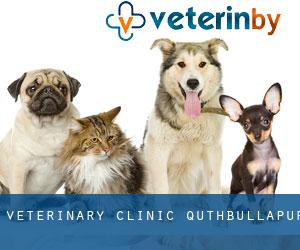 Veterinary Clinic (Quthbullapur)