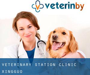 Veterinary Station Clinic (Xingguo)