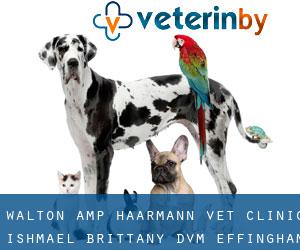 Walton & Haarmann Vet Clinic: Ishmael Brittany DVM (Effingham)