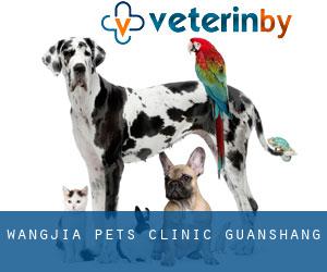 Wangjia Pets Clinic (Guanshang)