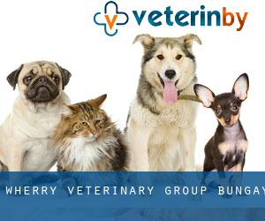 Wherry Veterinary Group (Bungay)