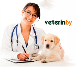 Ricerca Veterinaria Ricerca Veterinaria